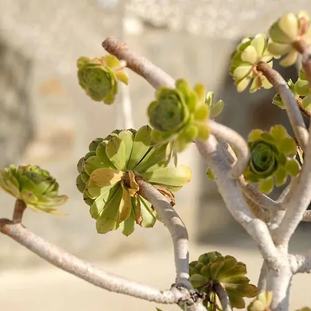 3 Season Дом отдыха